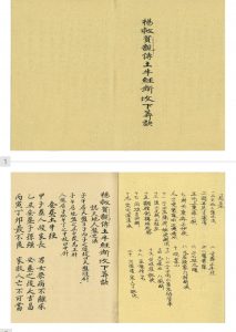 杨救贫亲传土牛经断坟葬决精彩书屋-怪书古籍精彩书屋