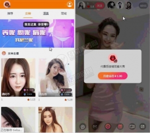 运营级主播秀出打赏源码 带个人免签支付接口+教程视频-彩金网
