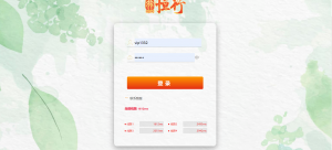 恒行娱乐+最完美版对接了新NG的接口vue前端-彩金网