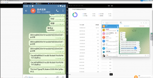 精彩亲测–假TG假飞机2.0中文版 篡改钱包地址 支持篡改三链 带搭建视频教程-彩金网