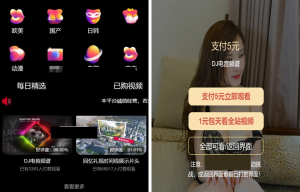 最新版付费视频打赏程序源码 多模板+全新UI 带包天+可扣量+代理 非云赏V系列-彩金网