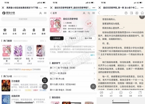 最新PTCMS小说网站源码 精美多风格4套模板-彩金网